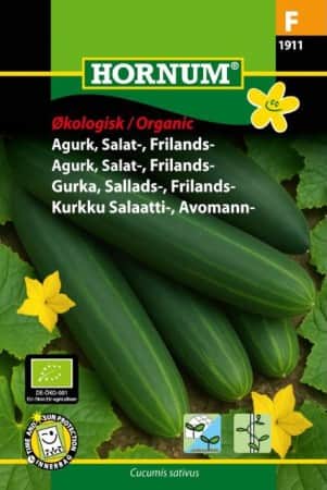 frilandsgurka-sonja-eko-1