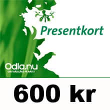 presentkort-600-2