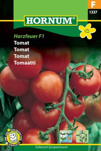 tomat-harzfeuer-f1-fr-1