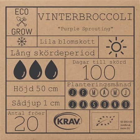 vinterbroccoli-purple-sprouting-krav-mrkt-2