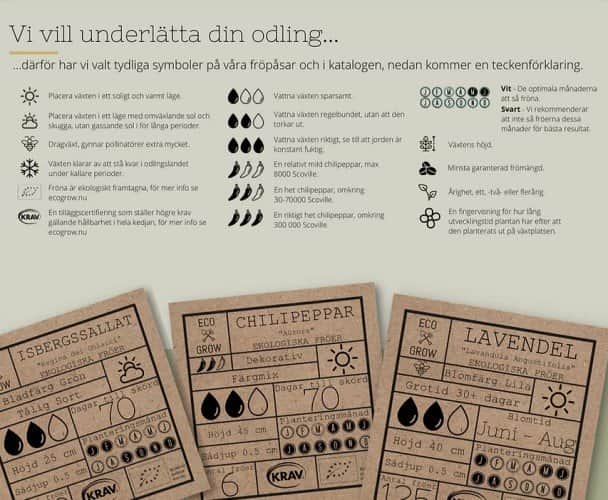 kruspersilja-moss-curled-2-krav-mrkt-3