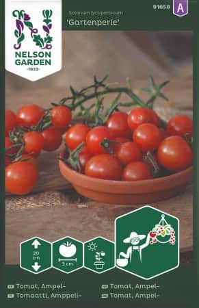 ampeltomat-gartenperle-1