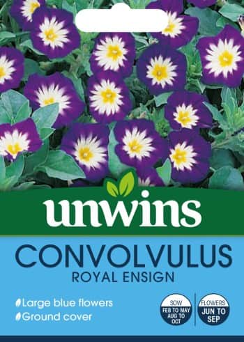 blvinda-royal-ensign-1