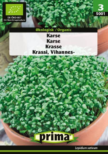 krasse-eko-1