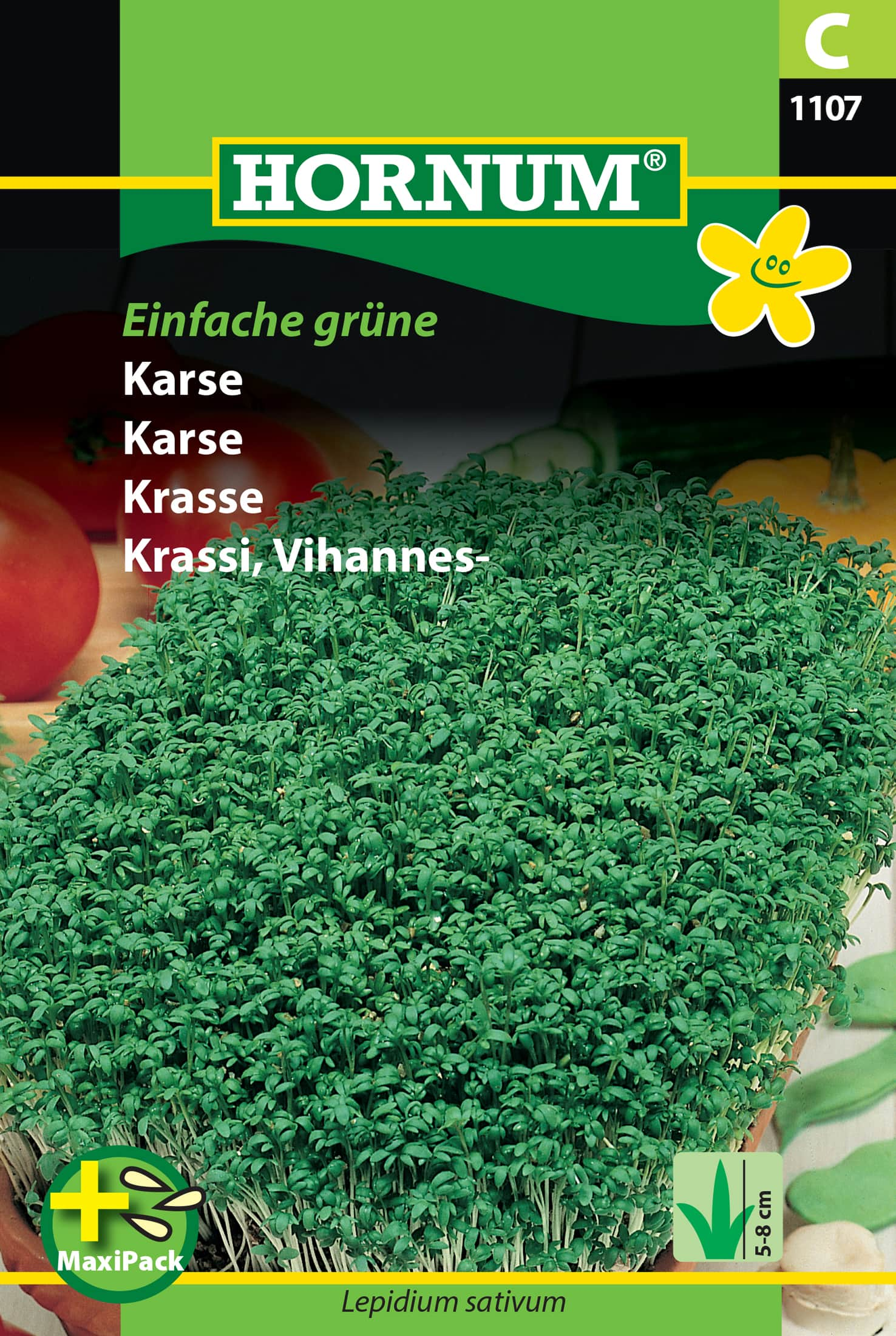 krasse-einfache-grne---maxipack-1