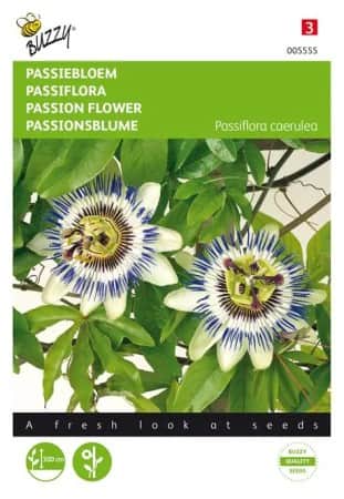 passionsblomma-1