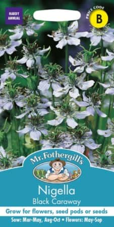 jungfrun-i-det-grna-black-caraway-2