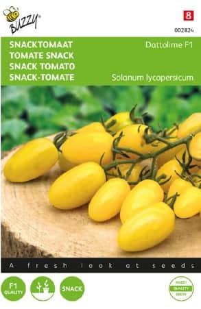 krsbrstomat-dattolime-f1-1