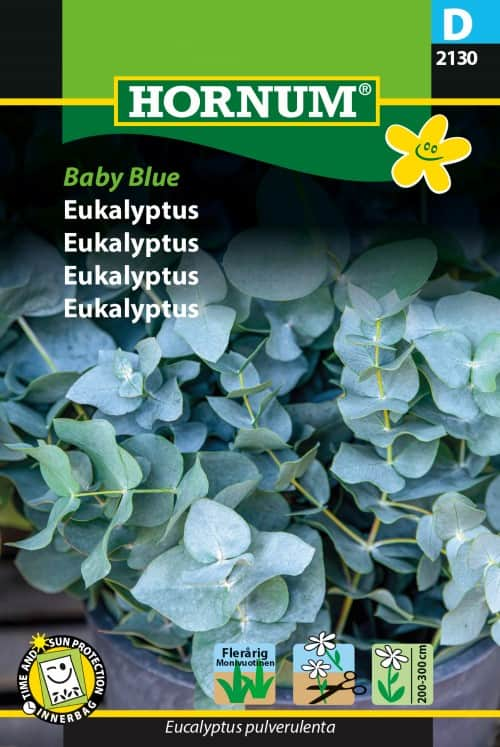 eucalyptus-baby-blue-1