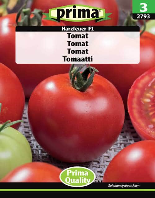 tomat-harzfeuer-f1-fr-1