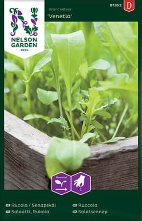 rucola-sandsenap-venetia-1