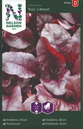 bladrdbeta-bulls-blood-1