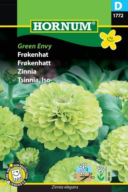 zinnia-green-envy-1