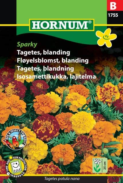 tagetes-mix-sparky-1