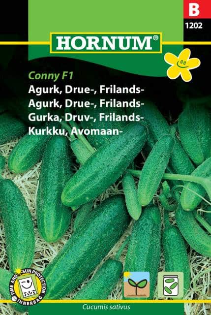 frilandsgurka-conny-f1-1