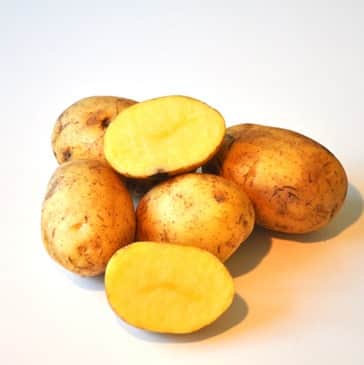 ekologisk-potatis-carolus-1kg-1