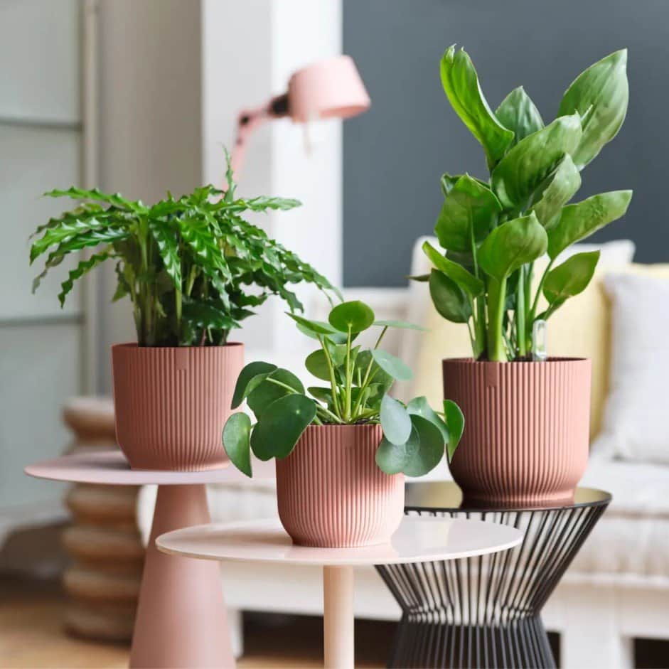 vibes-fold-round-ytterkruka-22cm---delicate-p-4