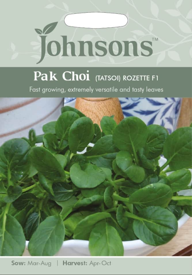 pak-choi-tatsoi-rozett-1