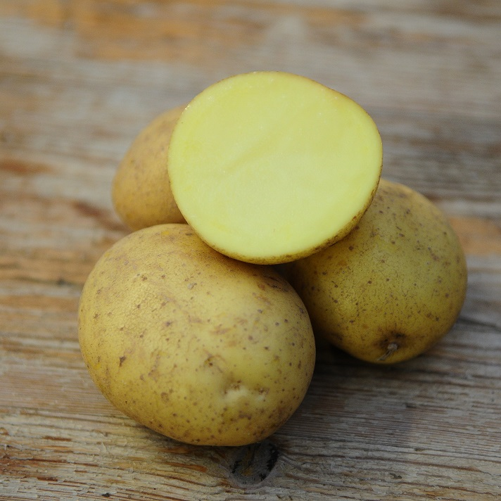 sttpotatis---almonda-eko-1kg-1