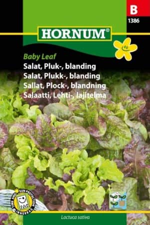 plocksallat-mix-baby-leaf-1