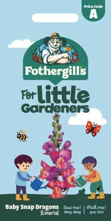 frgsporre-baby-snapdragon-1