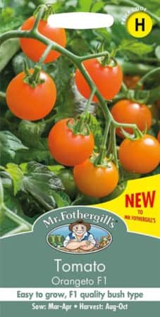 krsbrstomat-orangeto-f1-1