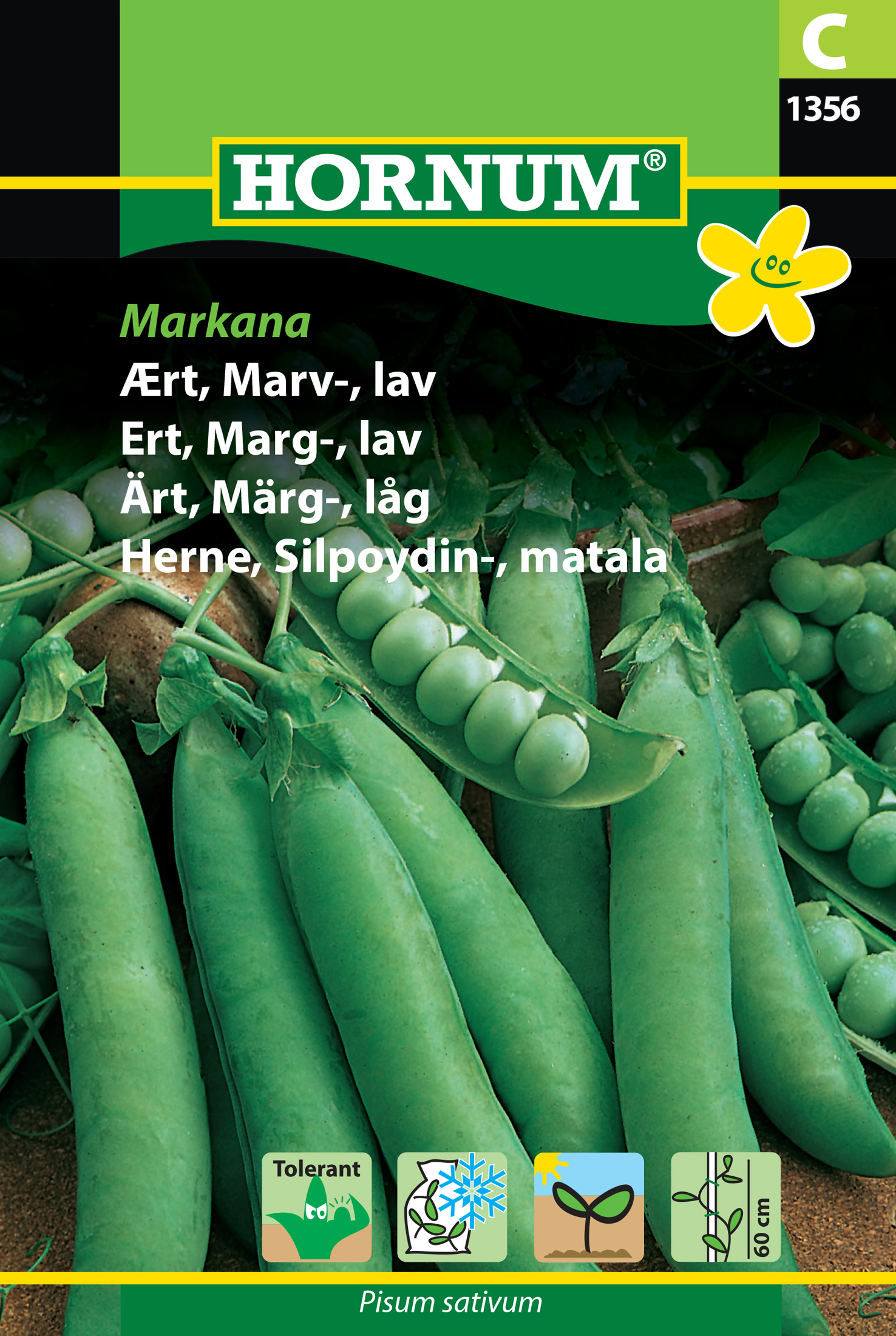Märgärt (låg) 'Markana' frö