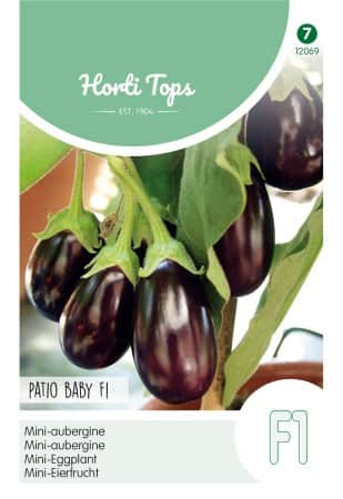 aubergine-mini-patio-baby-f1-1
