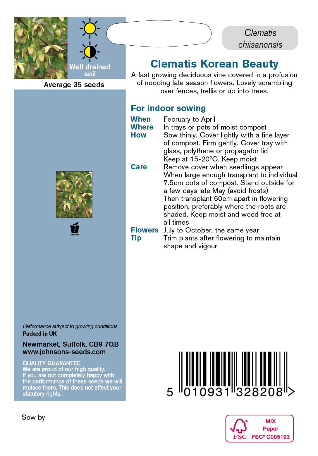 klematis-korean-beauty-2