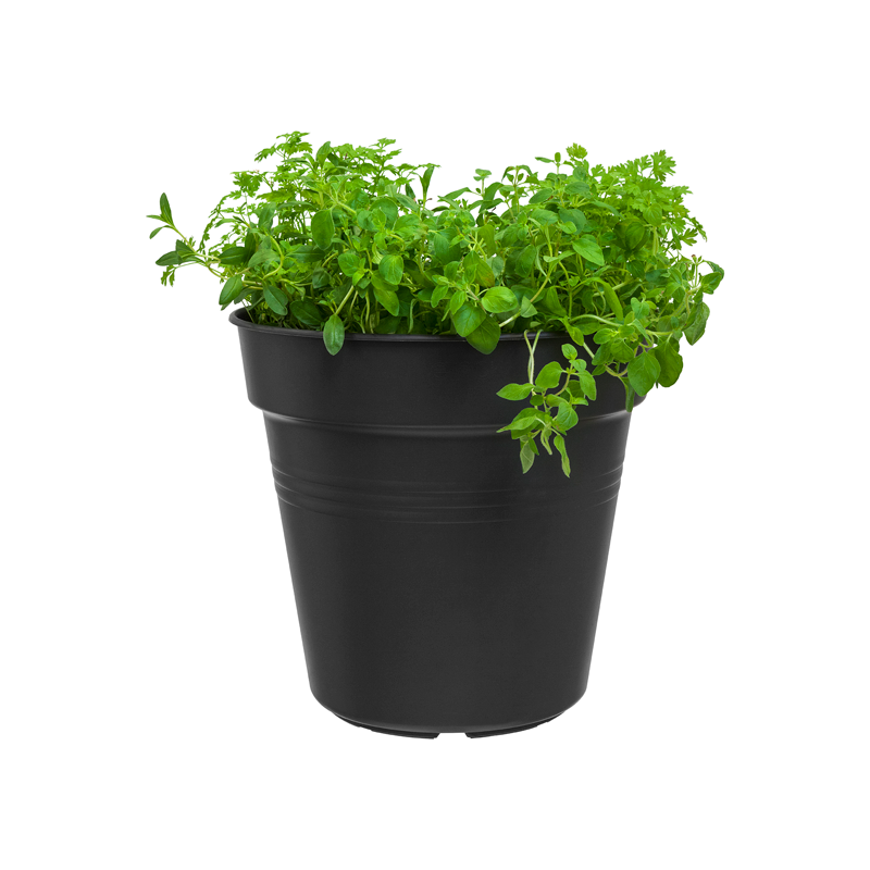 green-basics-growpot-dia-11-cm-living-black-1