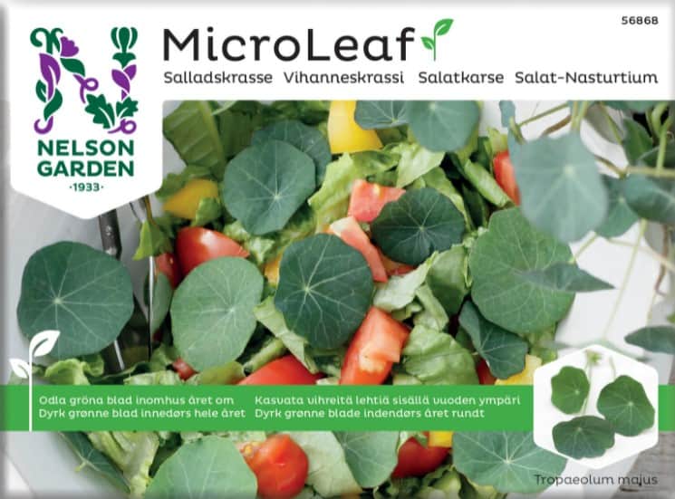 micro-leaf-salladskrasse-1