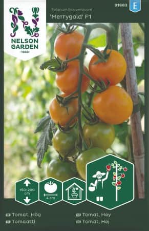 cocktailtomat-merrygold-f1-1