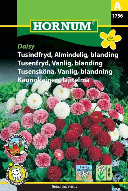 tusenskna-mix-daisy-1