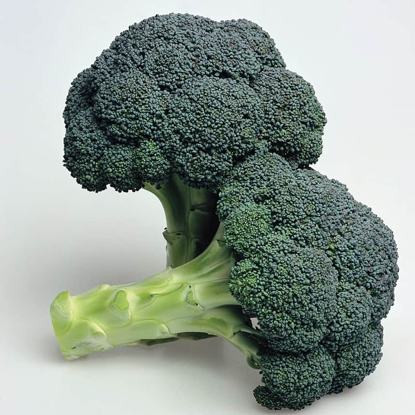 broccoli-ironman-f1-yrkesodlarfr-1