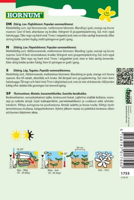 tagetes-mix-sparky-2