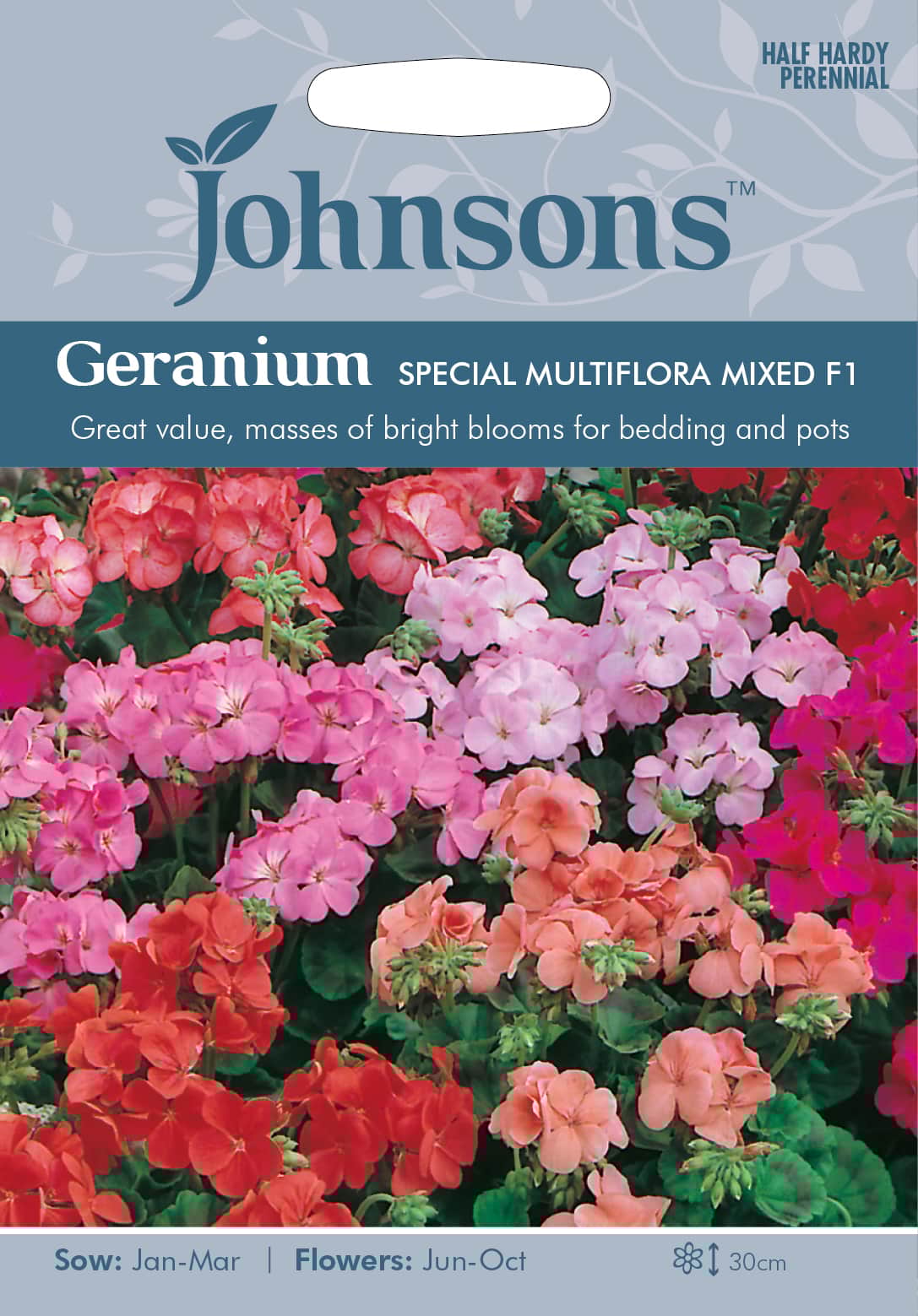 pelargon-special-multiflora-mix-f1-1