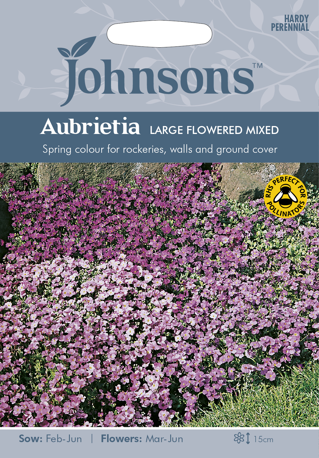 Aubrietia ’Large Flowered’ mix, frö
