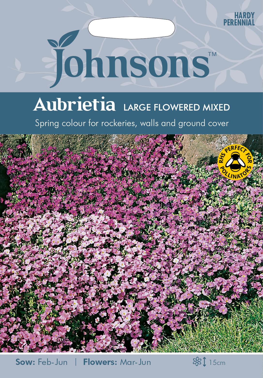 aubrietia-large-flowered-mix-fr-1