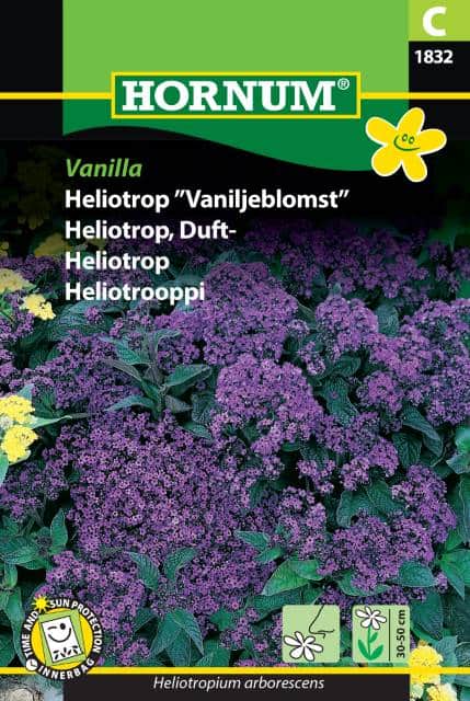 heliotrop-vanilla-1