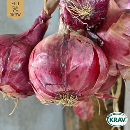 rdlk-morada-de-amposta-krav-mrkt-1