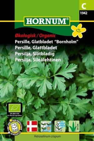 sltbladig-persilja-bornholm-1