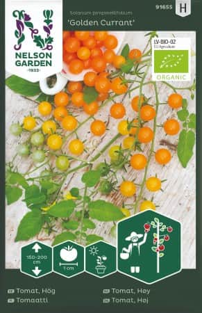 vinbrstomat-golden-currant-eko-1