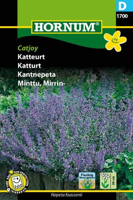 kantnepeta-catjoy-fr-1