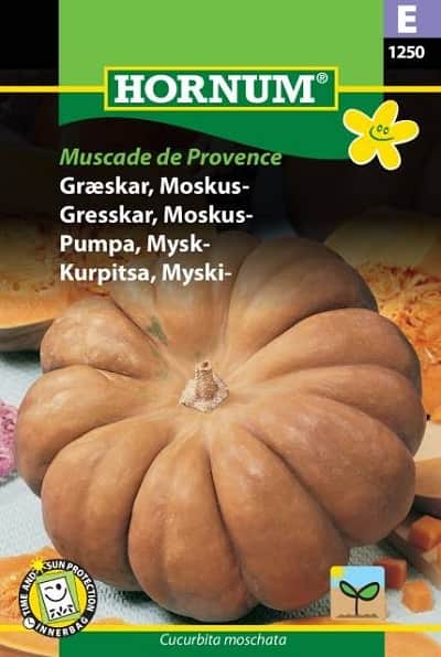 butternutpumpa-muscade-de-provence-1