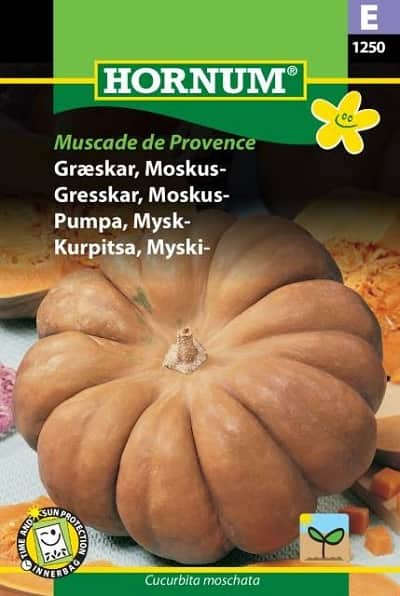 butternutpumpa-muscade-de-provence-fr-1