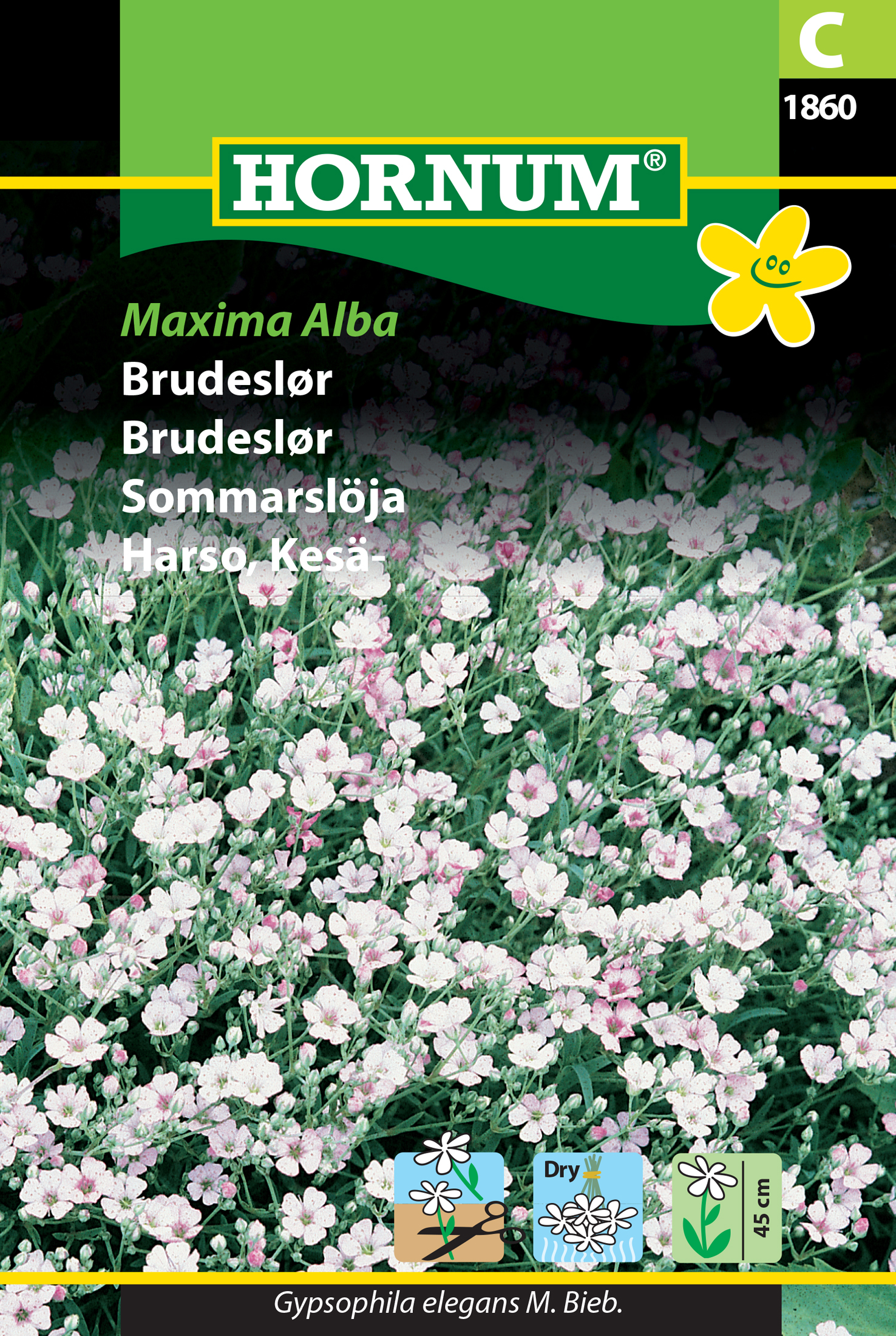 Sommarslöja ’Maxima Alba’ frö