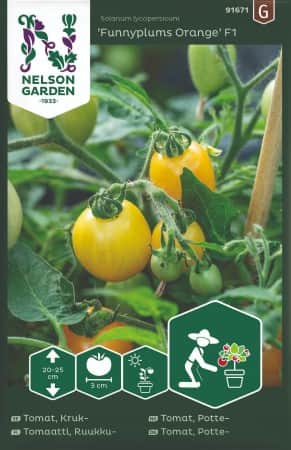 kruktomat-funnyplums-orange-f1-1