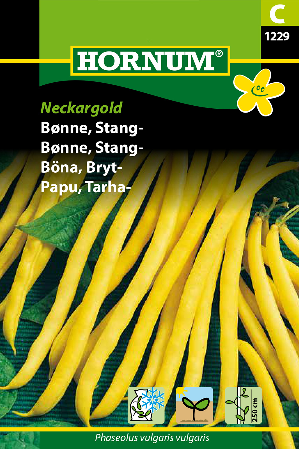 Brytböna ’Neckargold’ frö