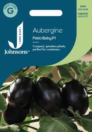 aubergine-patio-baby-f1-1