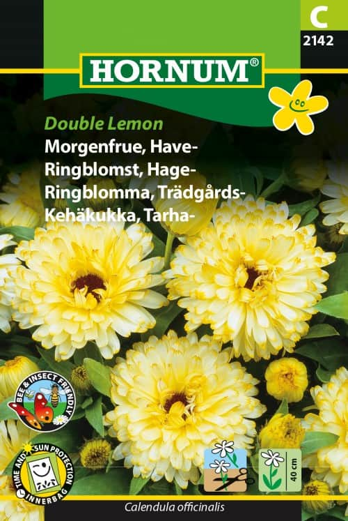 ringblomma-double-lemon-1